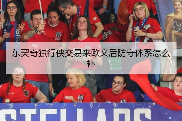 东契奇独行侠交易来欧文后防守体系怎么补